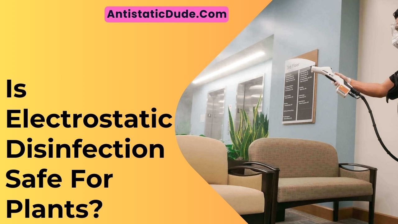 Is Electrostatic Disinfection Safe For Plants?